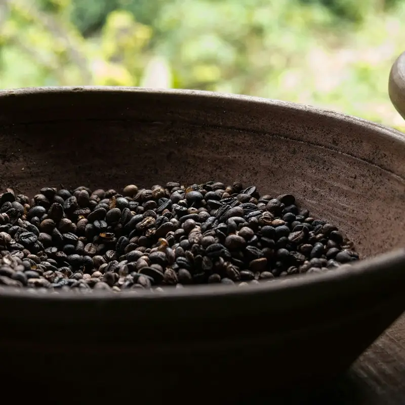 A rare Geisha coffee bean variety in a ceramic bowl.