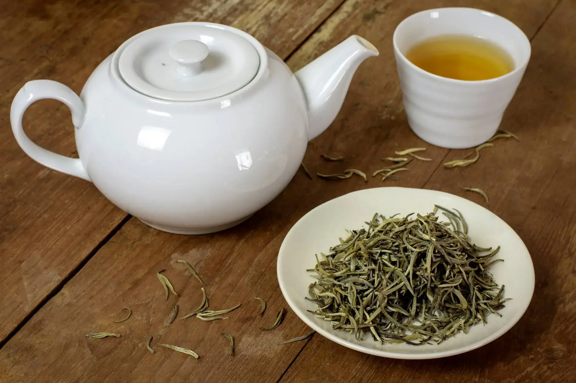Silver Needle white tea leaves delicately laid out.