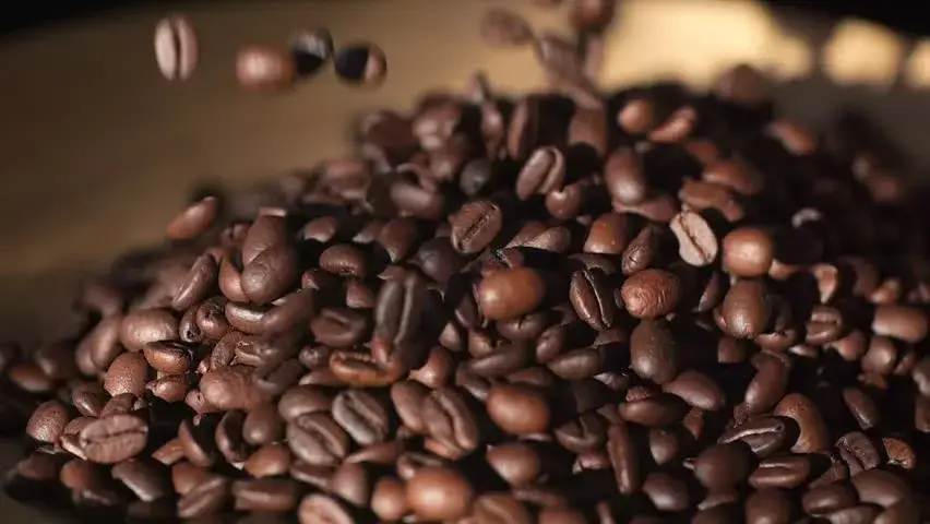 Close-up of freshly roasted coffee beans showing their rich texture and color.