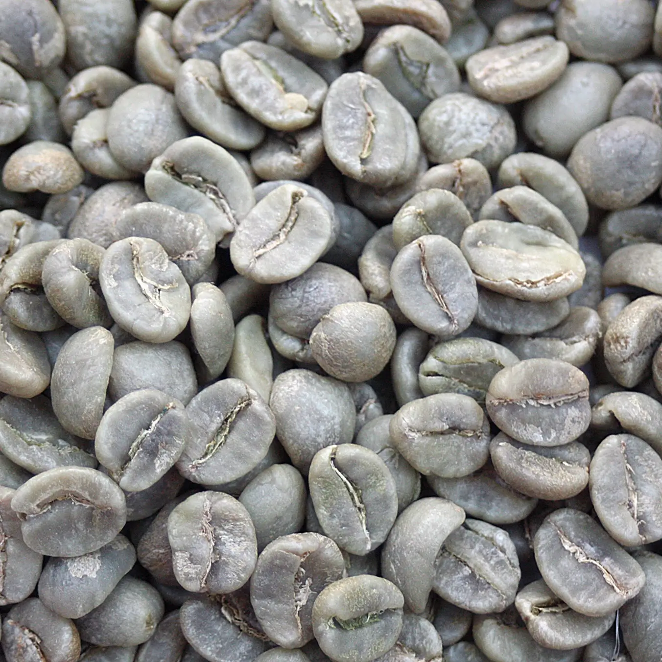 Colombian Supremo Coffee Beans