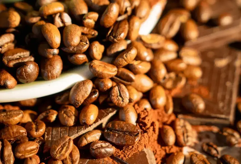 Sumatra Mandheling Coffee Beans